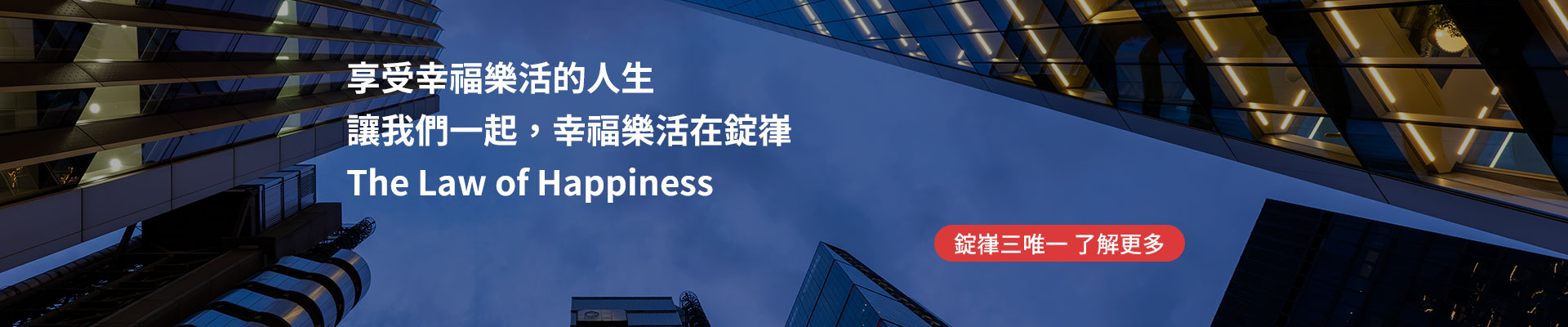 錠嵂白皮書