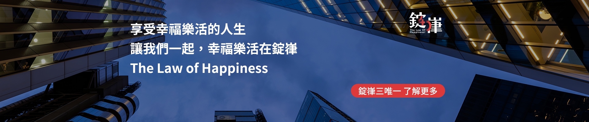 錠嵂白皮書