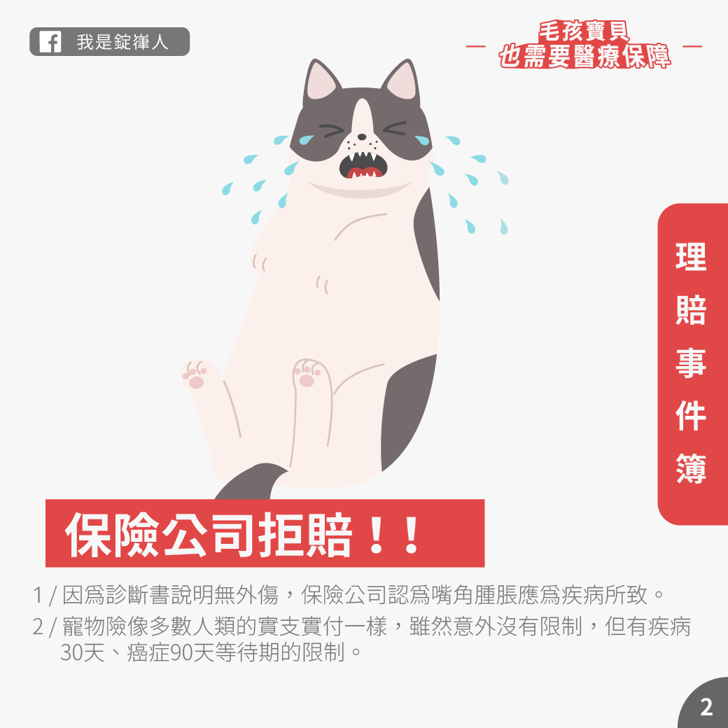 毛孩也需要醫療保障 毛孩也需要醫療保障