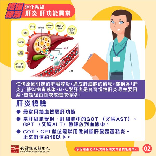 消化系統-肝炎/肝功能異常 消化系統-肝炎/肝功能異常