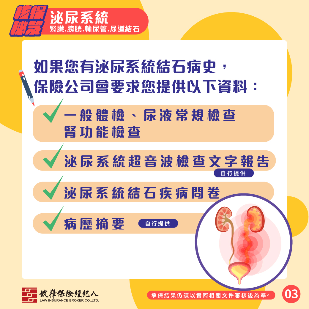泌尿系統-腎臟、膀胱、輸尿管、尿道結石 泌尿系統-腎臟、膀胱、輸尿管、尿道結石