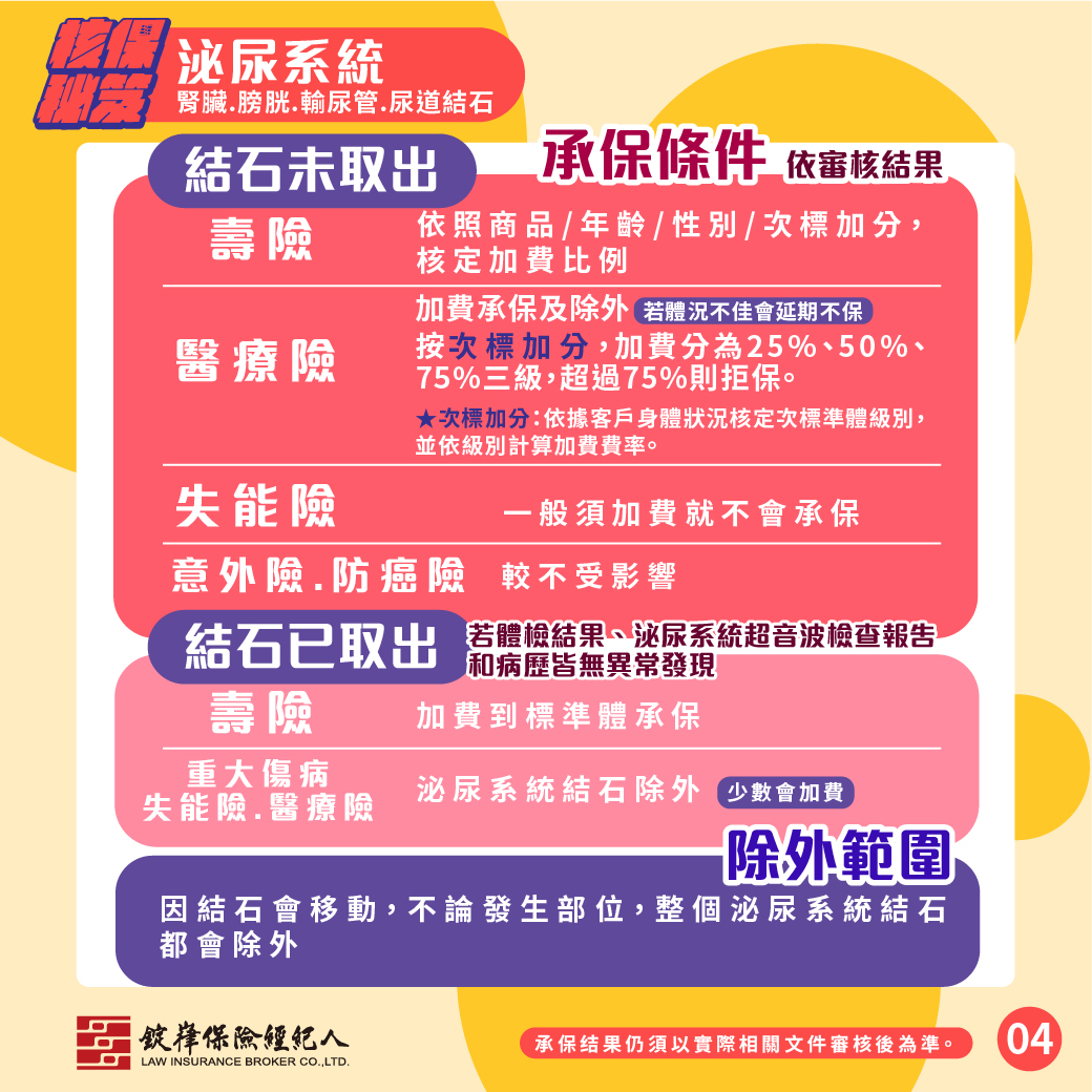 泌尿系統-腎臟、膀胱、輸尿管、尿道結石 泌尿系統-腎臟、膀胱、輸尿管、尿道結石